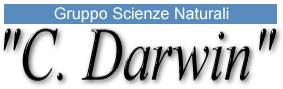 Gruppo Scienze Naturali 